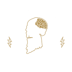 BLACK REBEL BEARD CO